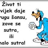 Your Avatar Image