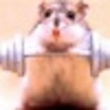 Your Avatar Image