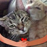 Your Avatar Image