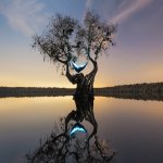 Votre Image Avatar