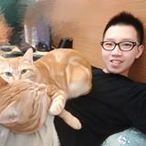 Your Avatar Image