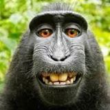 Your Avatar Image