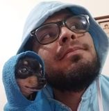 Your Avatar Image