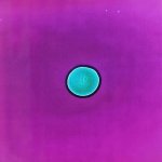 Your Avatar Image