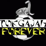 Your Avatar Image