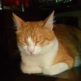 Your Avatar Image