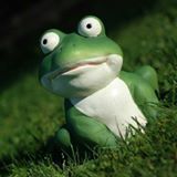Your Avatar Image