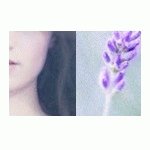 Your Avatar Image