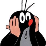 Your Avatar Image