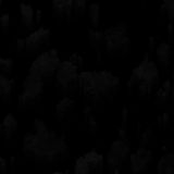 Your Avatar Image