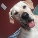 Your Avatar Image