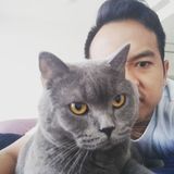 Your Avatar Image