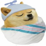 Your Avatar Image