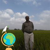 Your Avatar Image