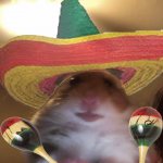 Your Avatar Image