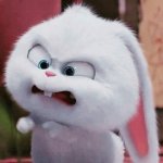 Your Avatar Image