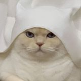 Your Avatar Image