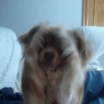 Your Avatar Image