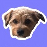 Your Avatar Image