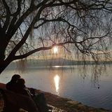 Ihr Avatar Bild