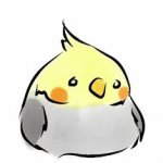 Your Avatar Image