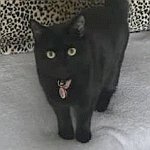 Your Avatar Image