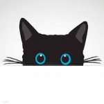 Your Avatar Image