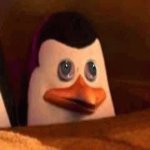Your Avatar Image