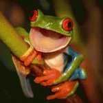 Your Avatar Image