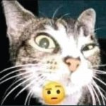 Din avatarbild