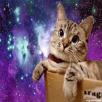 Your Avatar Image