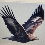 Your Avatar Image