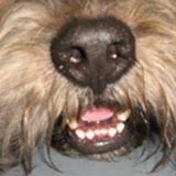 Your Avatar Image