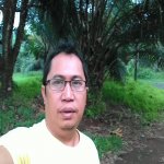 Your Avatar Image