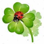 Il tuo Avatar