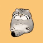 Your Avatar Image