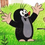 Your Avatar Image