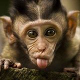 Your Avatar Image