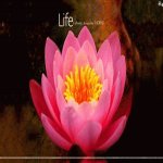 Your Avatar Image