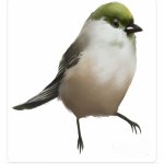 Your Avatar Image