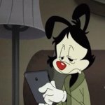 Your Avatar Image