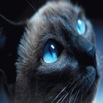 Your Avatar Image