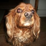 Your Avatar Image