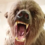 Your Avatar Image