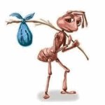 Your Avatar Image