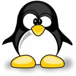 Your Avatar Image