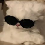 Your Avatar Image