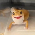 Imagem do seu Avatar
