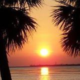 Your Avatar Image
