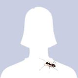 Your Avatar Image